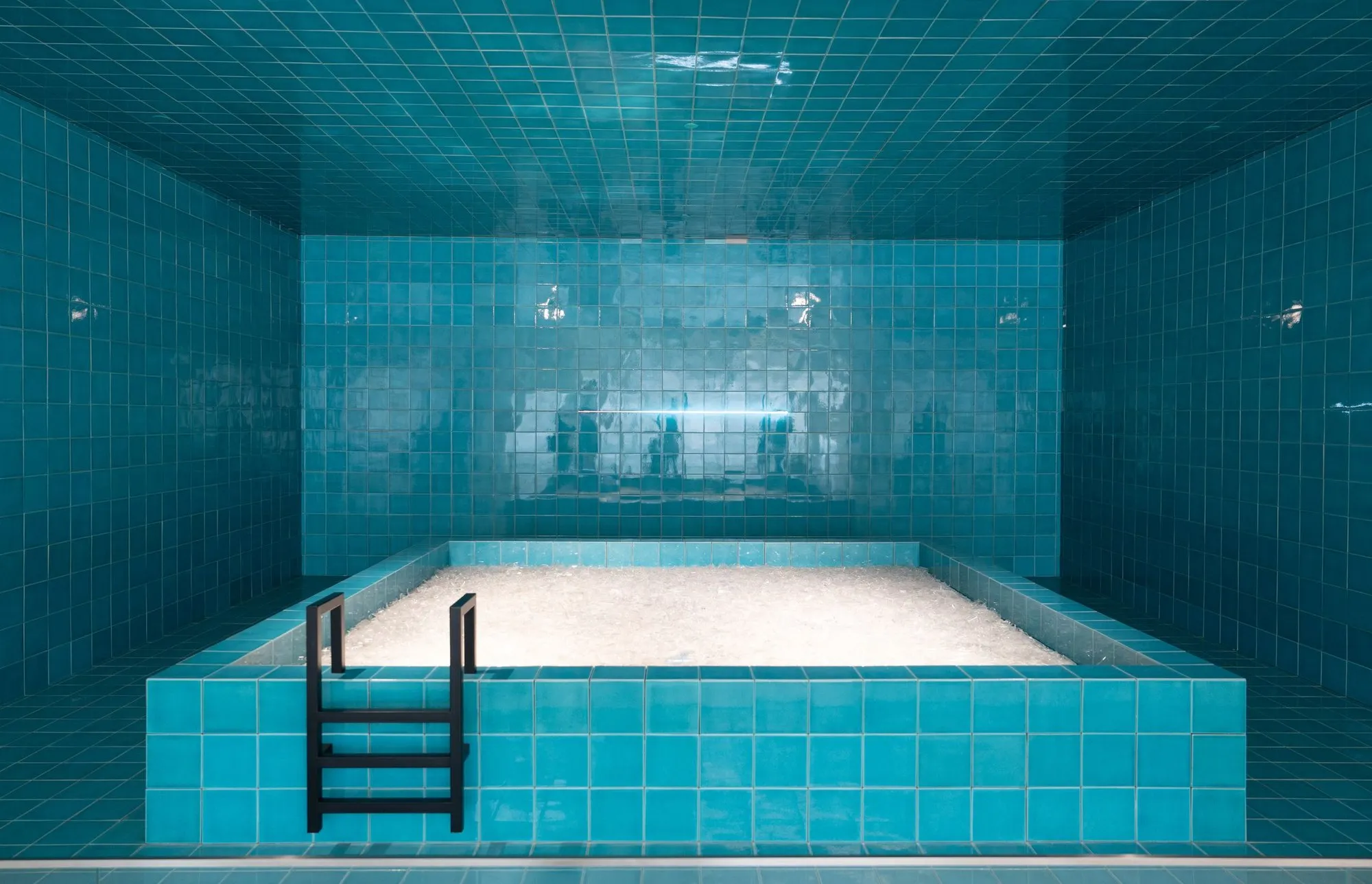 A deep tiled plunge pool with a black steel ladder