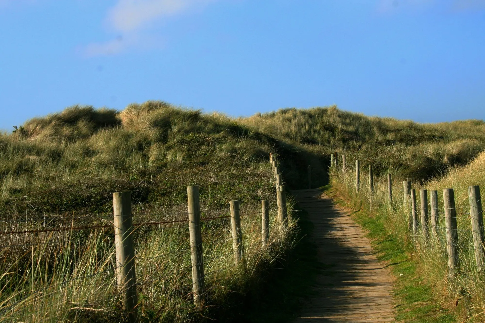 A sandy path between fences through dune grass